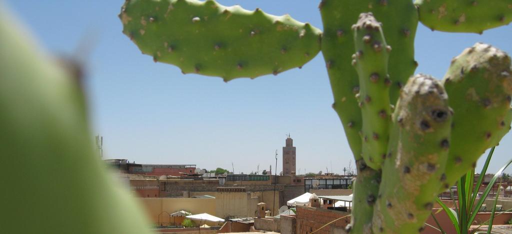 Douarskoll Bed & Breakfast Marrakesh Exterior photo